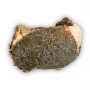 Groene Runderpens (Heel) – Image 1 / 5