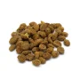 Knabix – Our Chew Highlights in One Bag – Image 4 / 6
