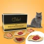 Fix-BARF® Maandpakket voor Allergische Katten – Image 1 / 1