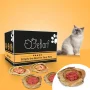 Fix-BARF® Paquete Mensual Especial para Riñones – Image 1 / 1