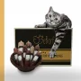 Fix-BARF® Pure Sample Package – Image 1 / 1