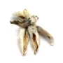 Rabbit Ears with Fur (Dried) – Image 1 / 1